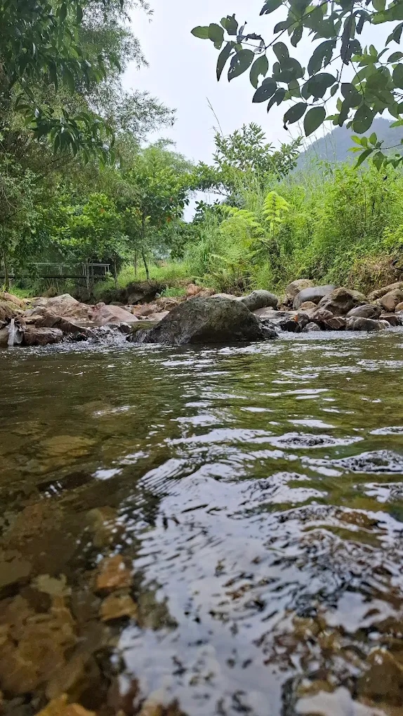 Sungai Lembah Mangkisi